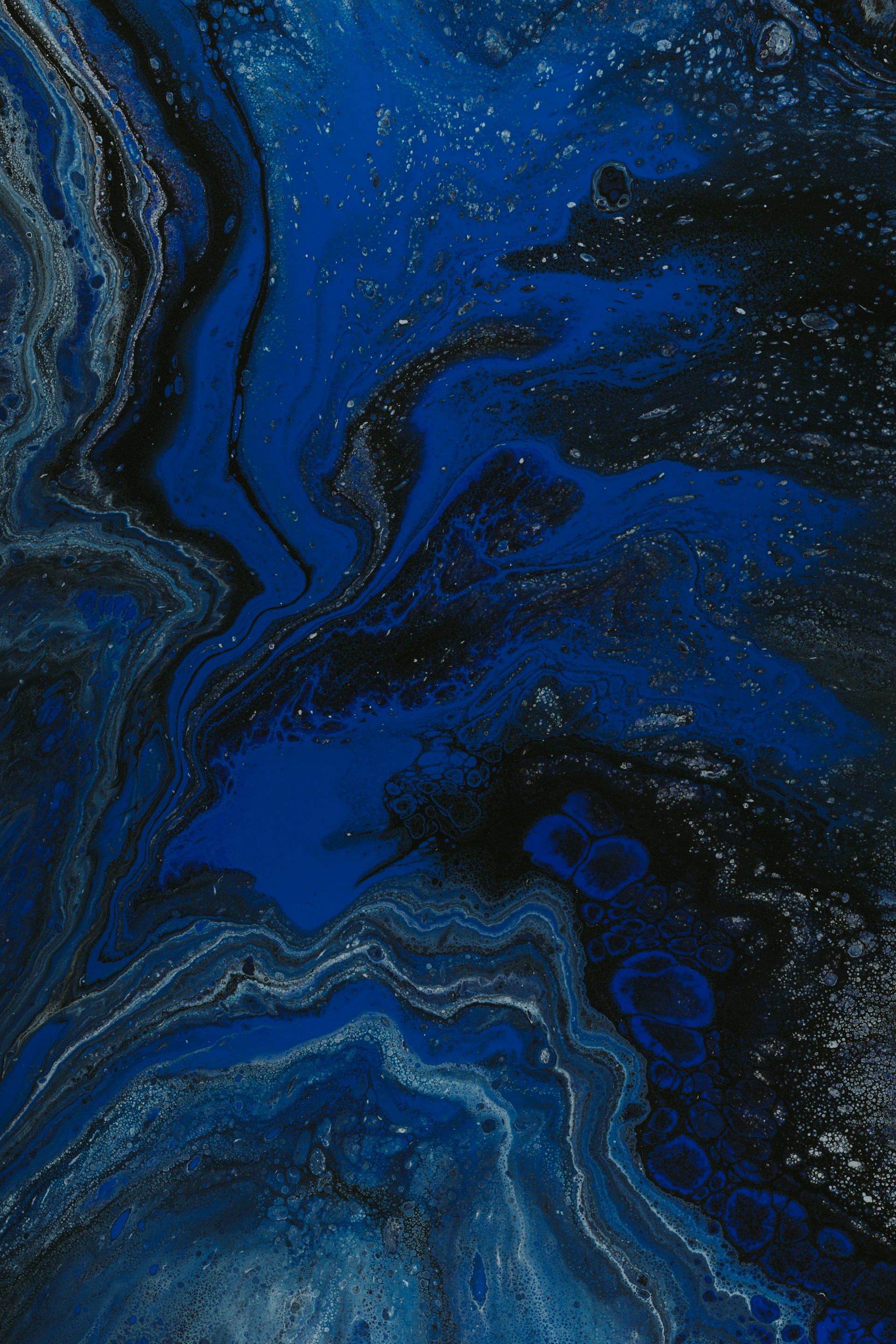 electricblue's banner